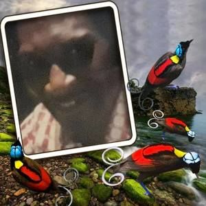 Meet your Posher, Evanglin